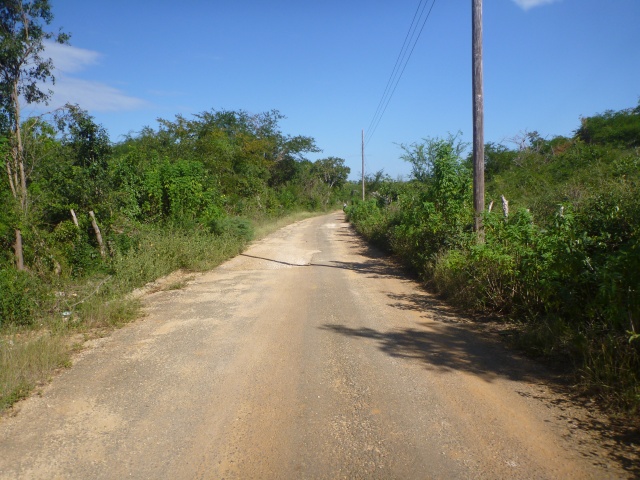 The road from Treasure Beach to Black River
